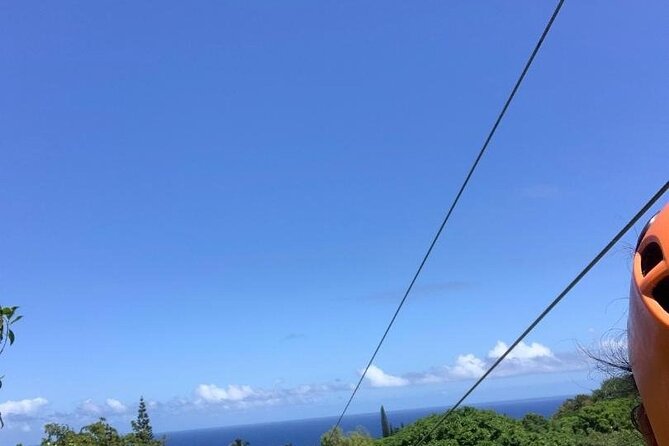 Maui Zipline Eco Adventure: 8 Lines through the Jungle - Who will enjoy this course most?