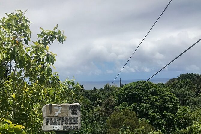 Maui Zipline Eco Adventure: 8 Lines through the Jungle - Bridges, stairs, and the walking between rides