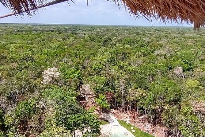 Maya Adrenaline: ATV, Ziplines & Cenote From Playa del Carmen. - Four ziplines, including a 1-kilometer flight
