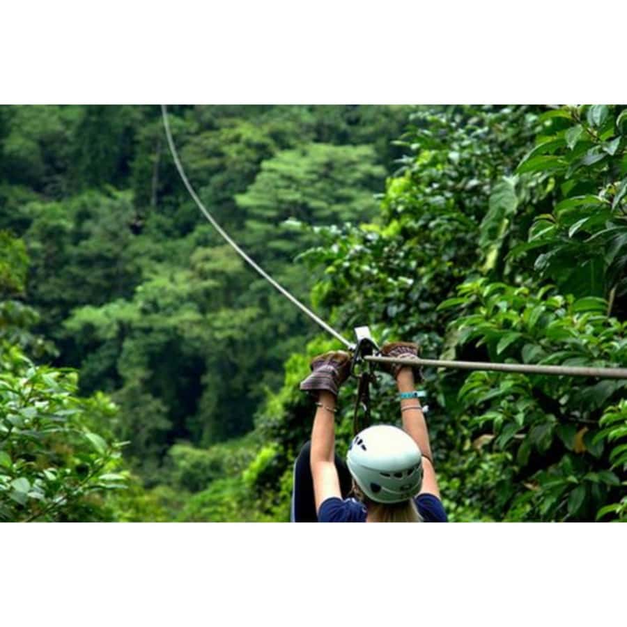 Medellin: 4-Hour Zip-Line Adventure - Why This Zip Line Is Different From a City Adventure