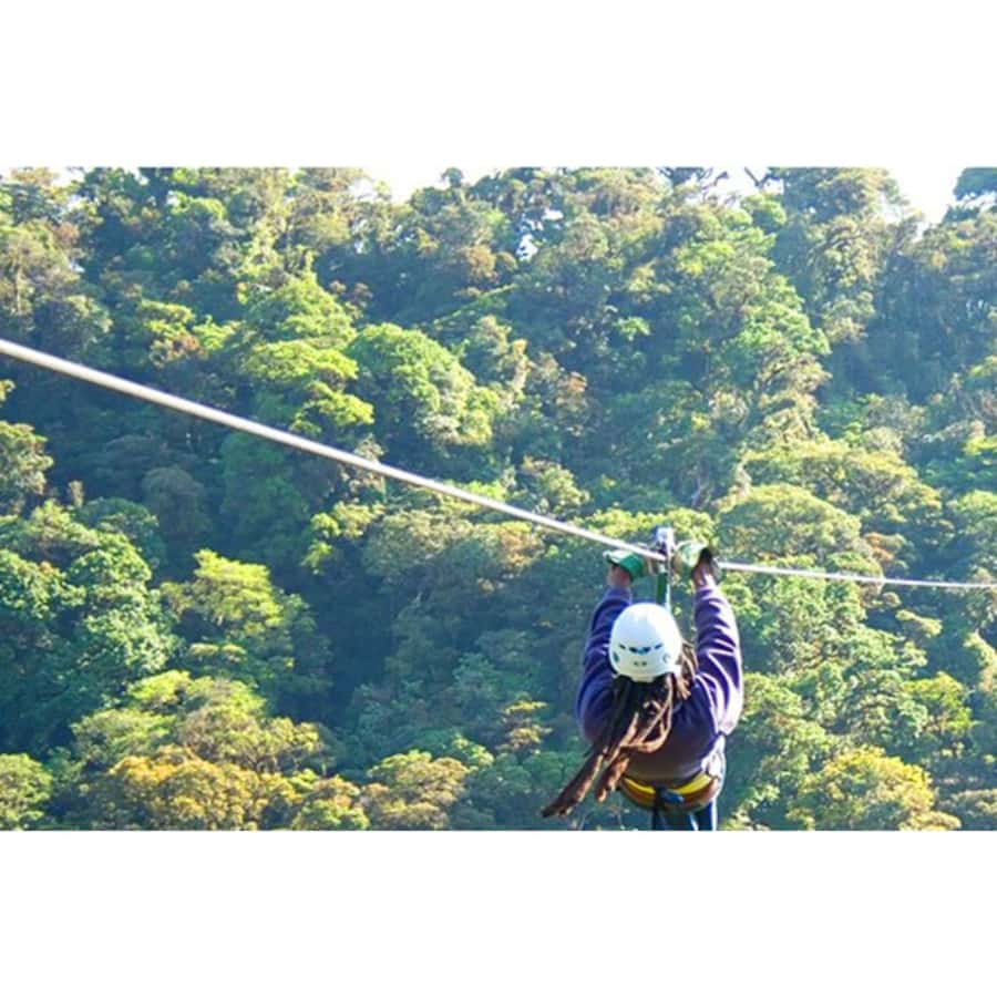 Medellin: 4-Hour Zip-Line Adventure - Who Will Like This Experience Most?