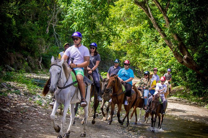 Mega Extreme Adventure: Horseback Riding, Ziplining and more - Is $135 a fair price?