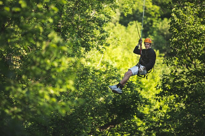 Minnesota River Valley 14-Line Thrilling Zipline Canopy Tour - How Much Time the 2.5 Hours Really Takes