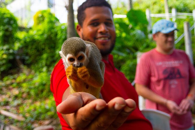 Monkey Enconter & Zip line Adventure - Key points to know before you book