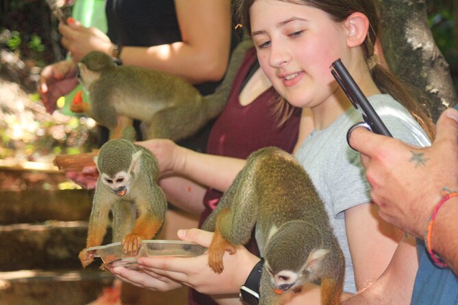Monkey Enconter & Zip line Adventure - How the value compares with a simple park visit