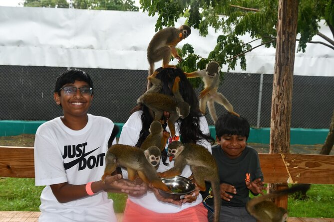 Monkey Encounter and Zip Line Tour from Amber Cove and Taino Bay - Leaving Amber Cove or Taino Bay for the countryside