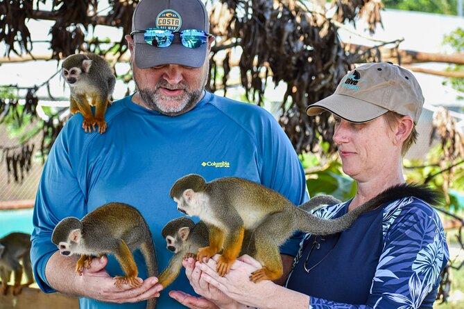 Monkey Encounter and Zip Line Tour from Amber Cove and Taino Bay - A short walk through the tropical bird garden