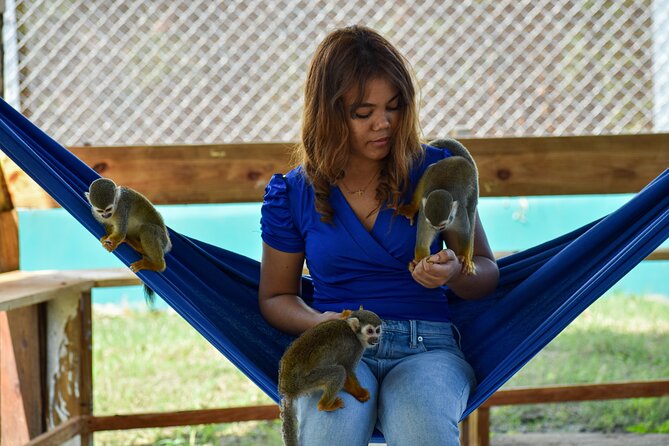 Monkey Encounter and Zip Line Tour from Amber Cove and Taino Bay - Who should book this Puerto Plata excursion?