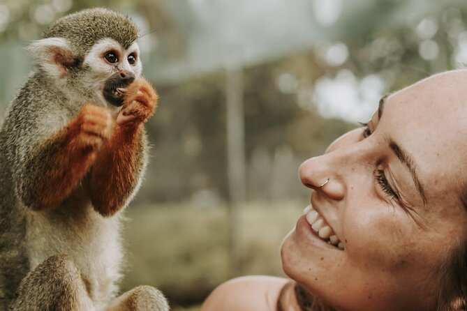 Monkey Jungle with Zip line - Key points at a glance