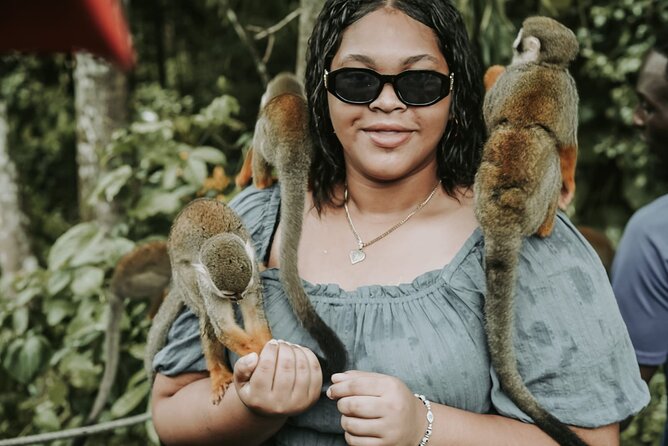 Monkey Jungle with Zip line - A four-hour route through Puerto Plata