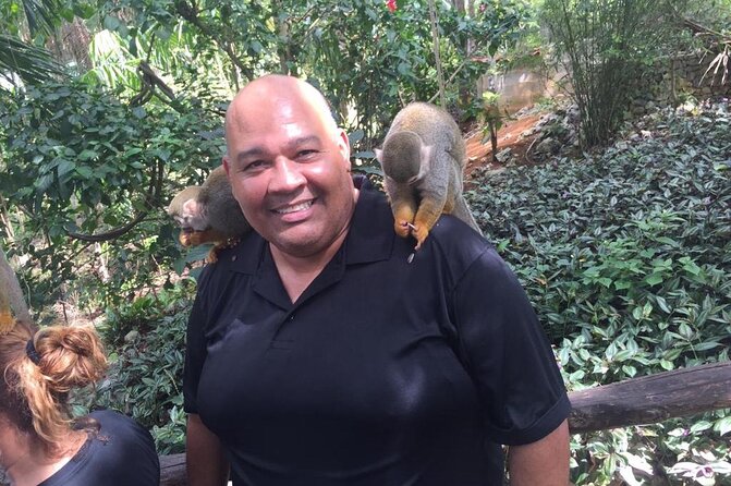 Monkey Jungle with Zip line - The seven-base zip line