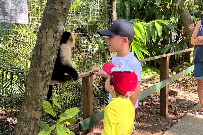 Monkey/Sloth Park + Zipline And City Tour In Roatan - Five things to know before booking