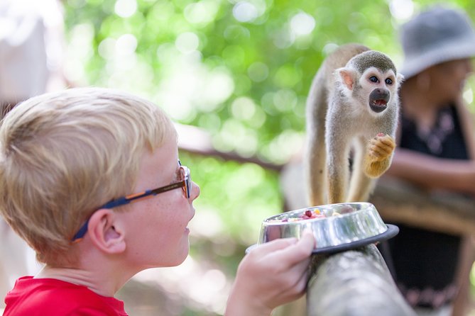 Monkeyland and Zipline Adventure from Puerto Plata - Training comes before the first zip line