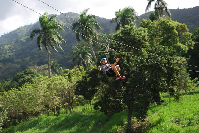 Monkeyland and Zipline Adventure from Puerto Plata - Monkeyland brings the day’s most memorable moments