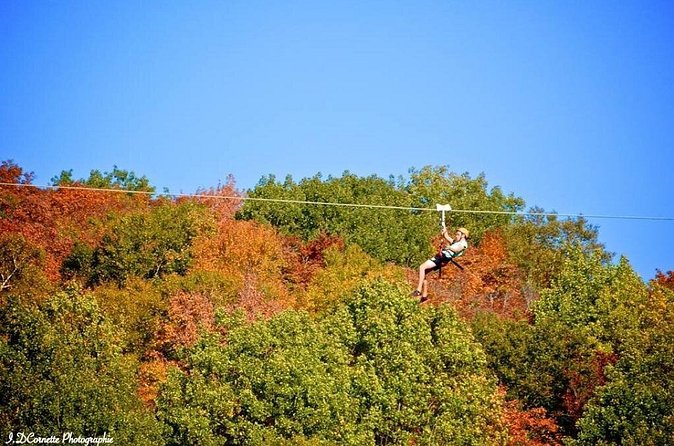 Mont-Catherine Ziplines - The 3,200-foot highlight above the treetops