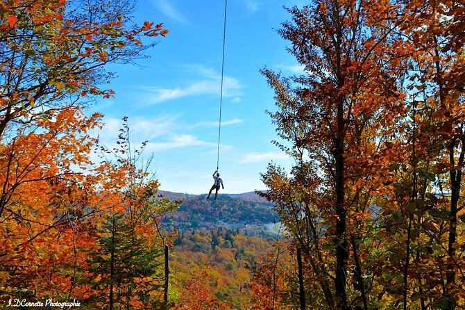 Mont-Catherine Ziplines - The maple forest hike comes first