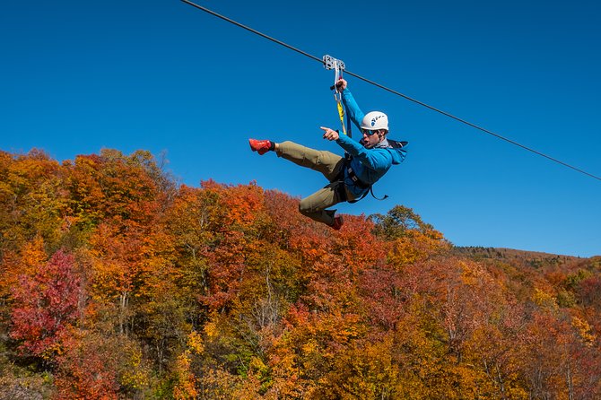 Mont Tremblant Guided Zipline Tour - Who should book this mountain adventure?