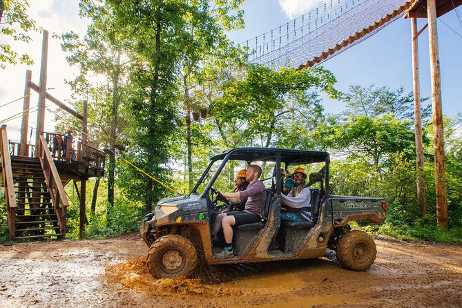Mountaintop Zipline 2-Hours Activity - Six Dual Ziplines Above the Trees