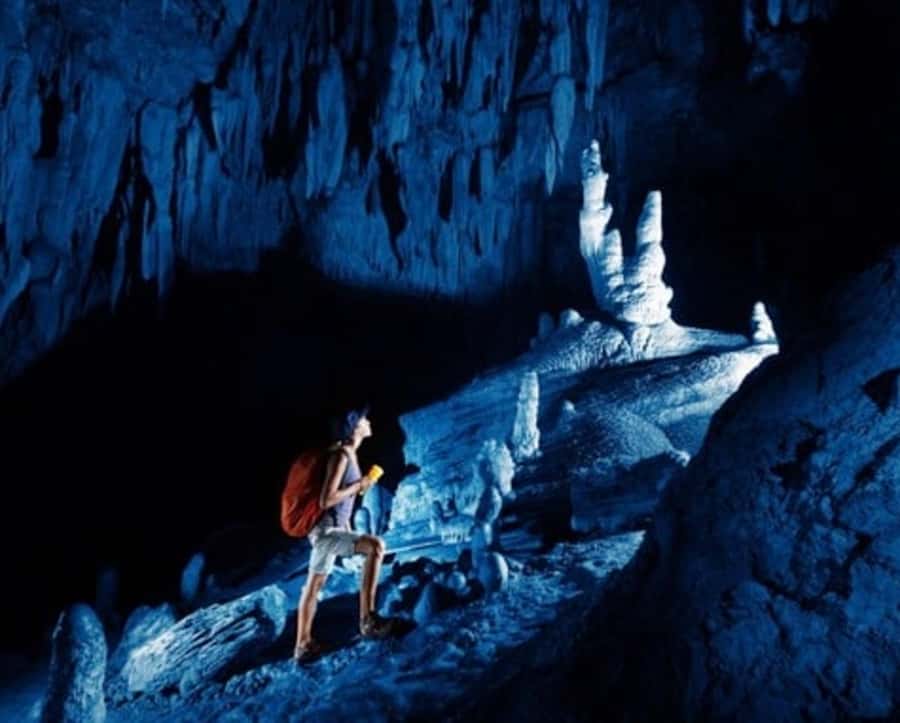 Nadi: Abseiling, Zipline, and Cave Tour with Meal - Key details before you book