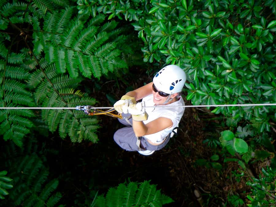 Nadi: Zipline Adventure with Cave Exploration - Your First Look At The Mountain Forest