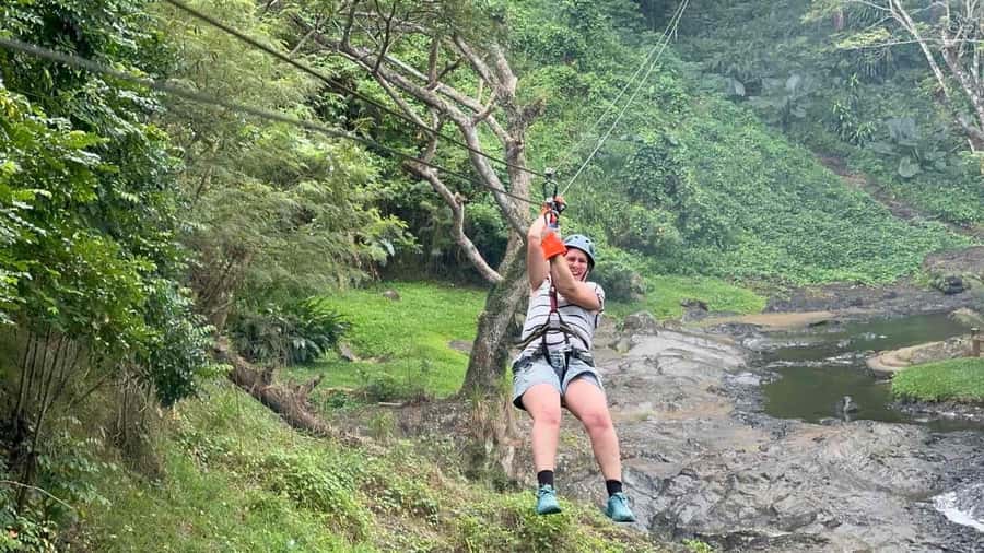 Nadi: Zipline, Waterfalls, and Jungle Safari Tour with Lunch - From Nadi to the rainforest