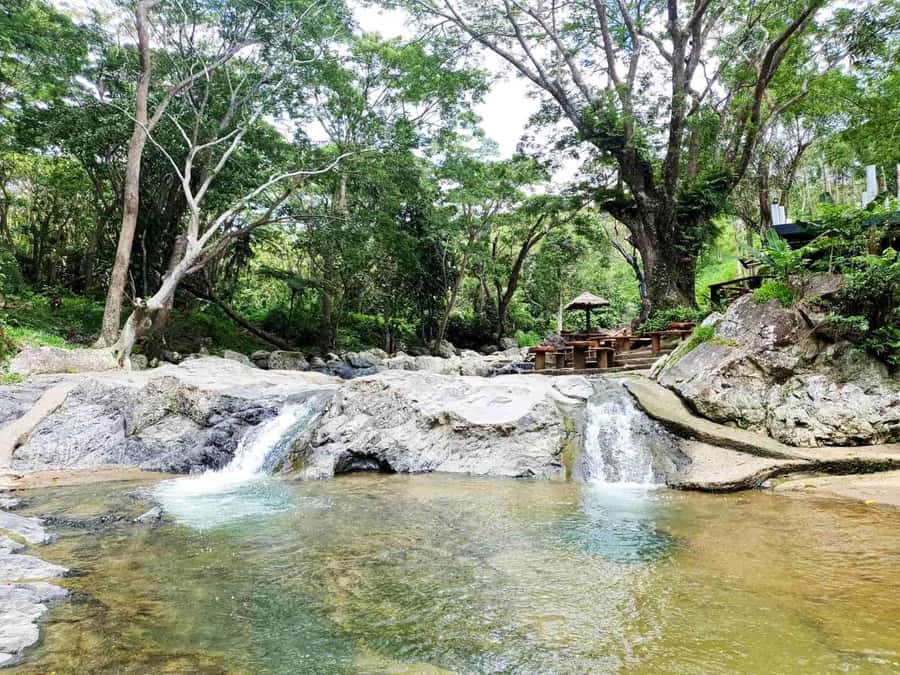 Nadi: Zipline, Waterfalls, and Jungle Safari Tour with Lunch - A rainforest walk with two waterfalls