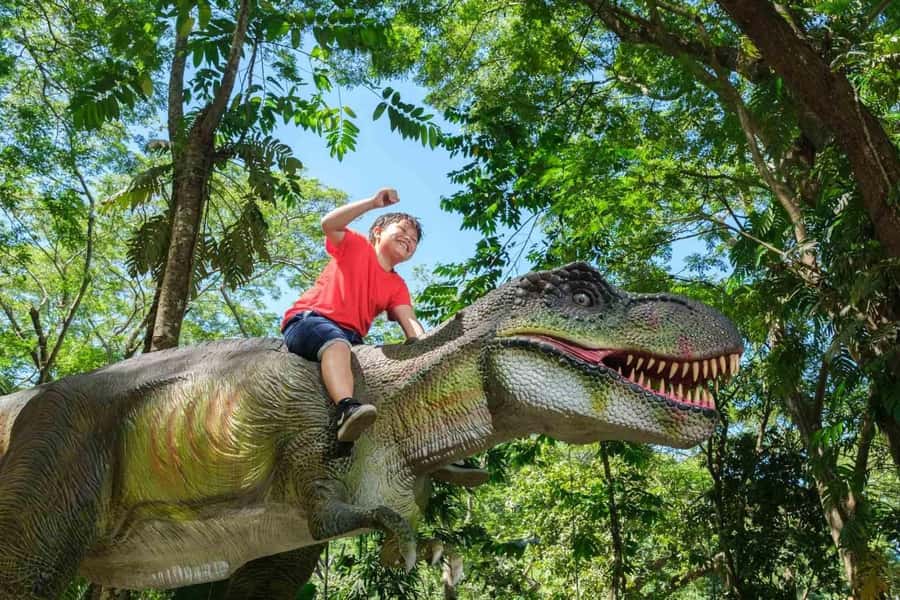 Nadi: Zipline, Waterfalls, and Jungle Safari Tour with Lunch - Is $88 a fair price?