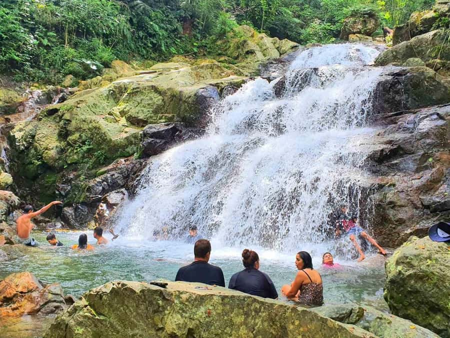 Nadi: Zipline, Waterfalls, and Jungle Safari Tour with Lunch - Seven ziplines through the trees