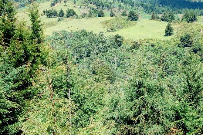 Nairobi Zip Lining Adventure Experience - What the $100 price really covers