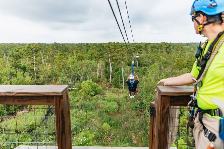 New Orleans: Swamp Zipline Tour - Key points to know before you book