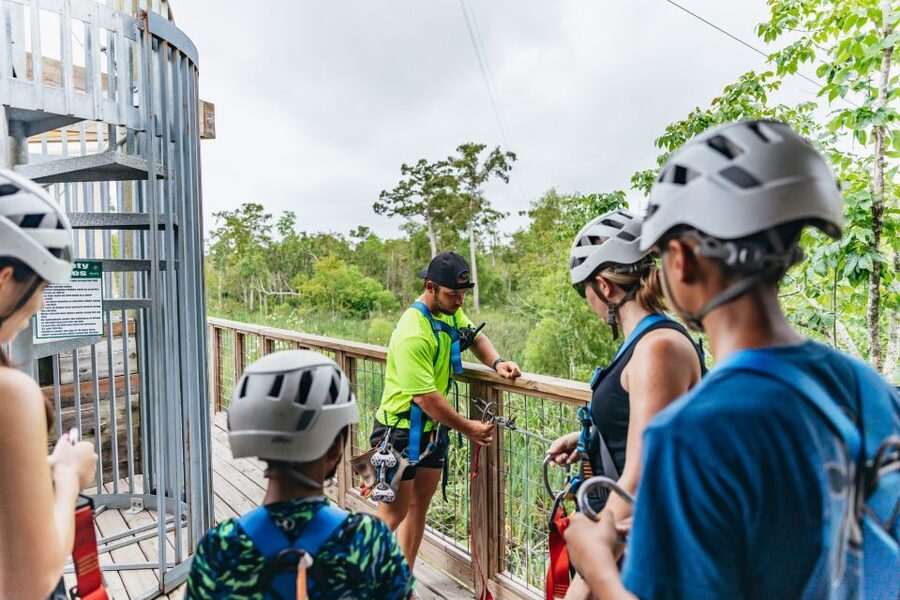 New Orleans: Swamp Zipline Tour - From New Orleans to the Maurepas Swamp