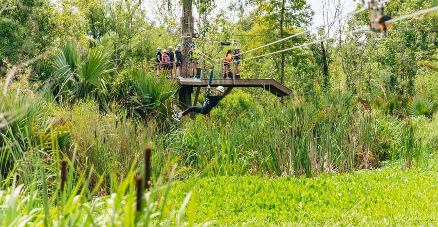 New Orleans: Swamp Zipline Tour - The 60-foot platform and the first look at the swamp