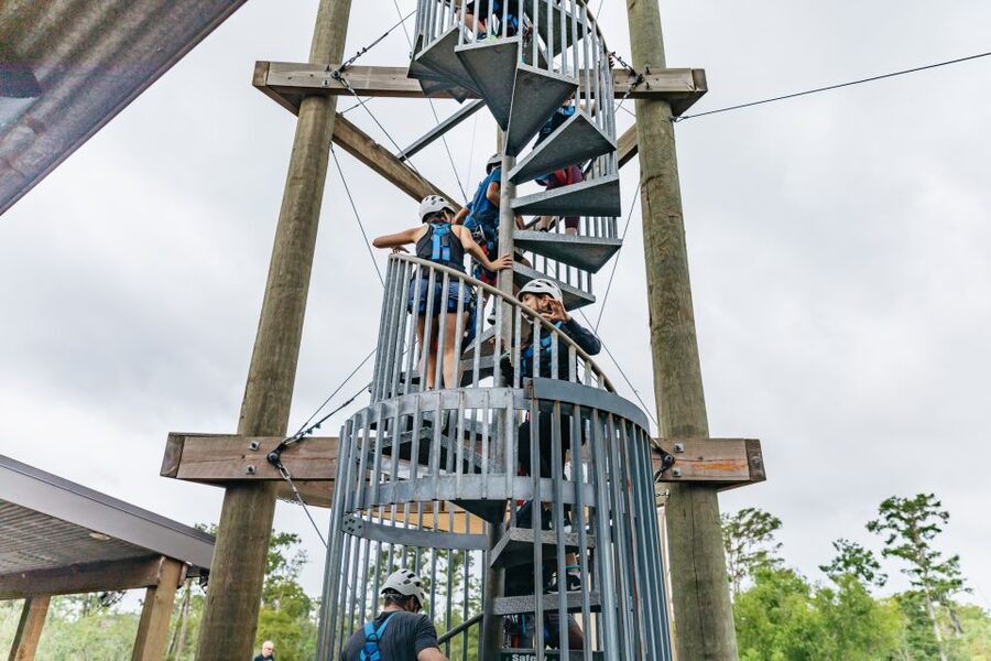 New Orleans: Swamp Zipline Tour - Five lines, two bridges, and a cypress staircase