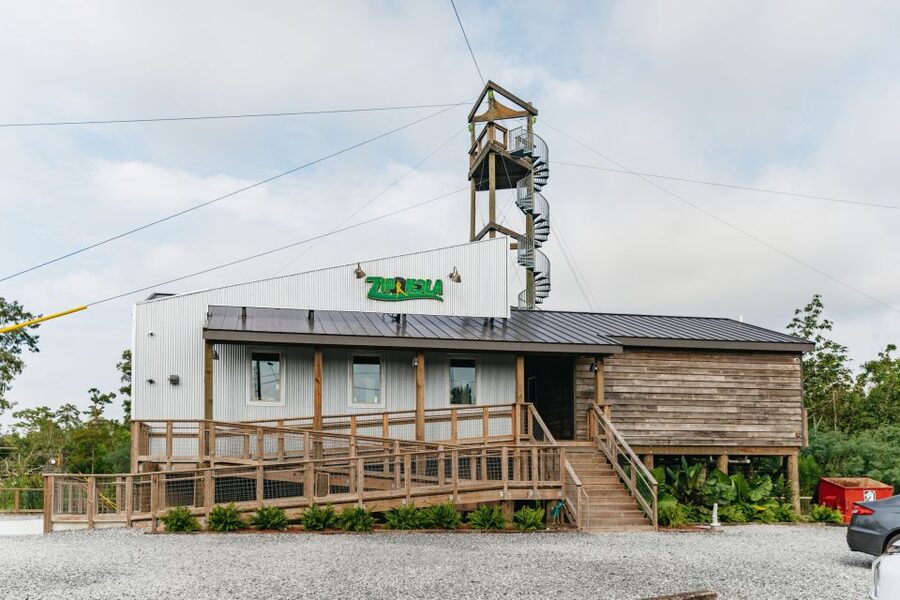 New Orleans: Swamp Zipline Tour - Looking for alligators from the treetops