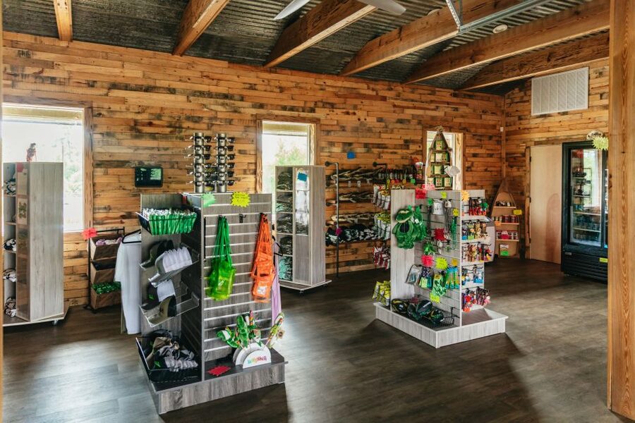 New Orleans: Swamp Zipline Tour - Is $89 a fair price?