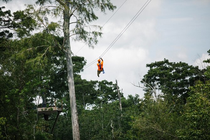 New Orleans Zipline Swamp Tour - Quick reasons to consider this experience