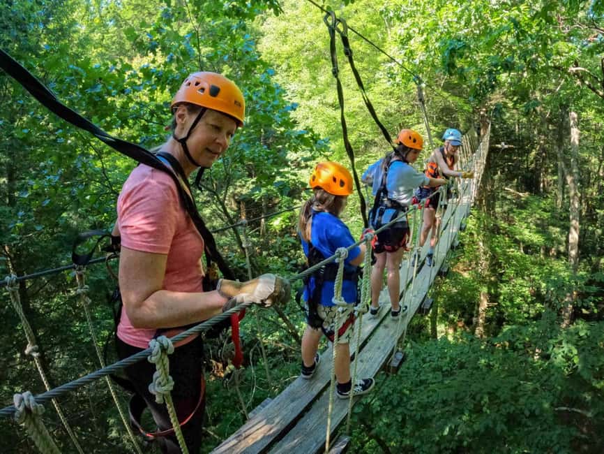 New River Gorge: TreeTops Zipline Tour - Entering the Appalachian forest above Mill Creek