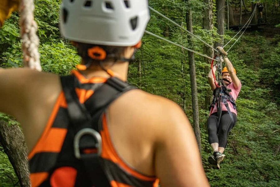 New River Gorge: TreeTops Zipline Tour - Eleven lines build toward the big view