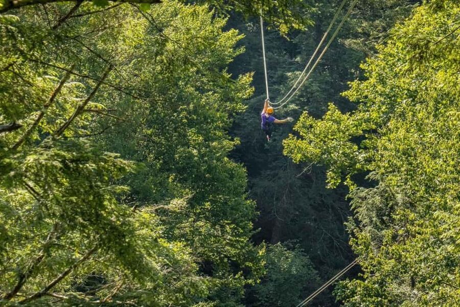 New River Gorge: TreeTops Zipline Tour - Who will enjoy this tour most?