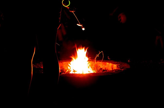 Night Zipline: 3 Zipline Adrenaline Adventure - Is $142 a fair price?