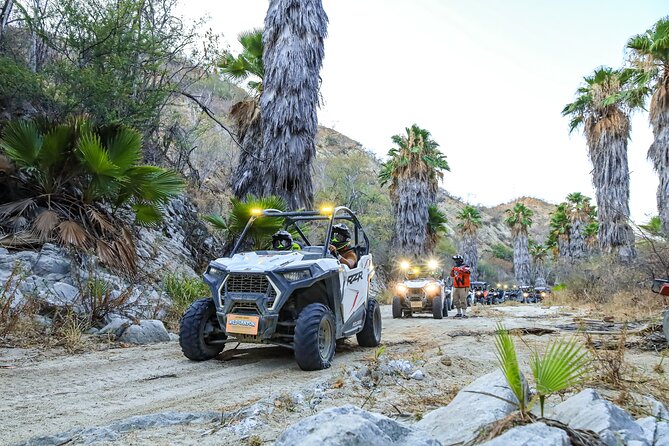 Night Ziplines & UTV Adventure + Mexican Parrillada - Dinner at Rooftop Lion’s Den