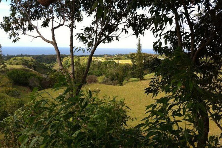 North Maui: 7 Line Zipline Adventure with Ocean Views - Who should book this North Maui zipline tour?