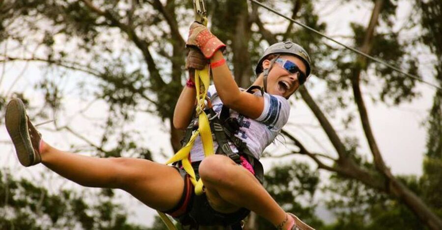 North Maui: 7 Line Zipline Adventure with Ocean Views - Seven lines through giant eucalyptus trees