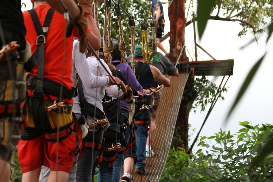 North Maui: 7 Line Zipline Adventure with Ocean Views - The best views come between the lines