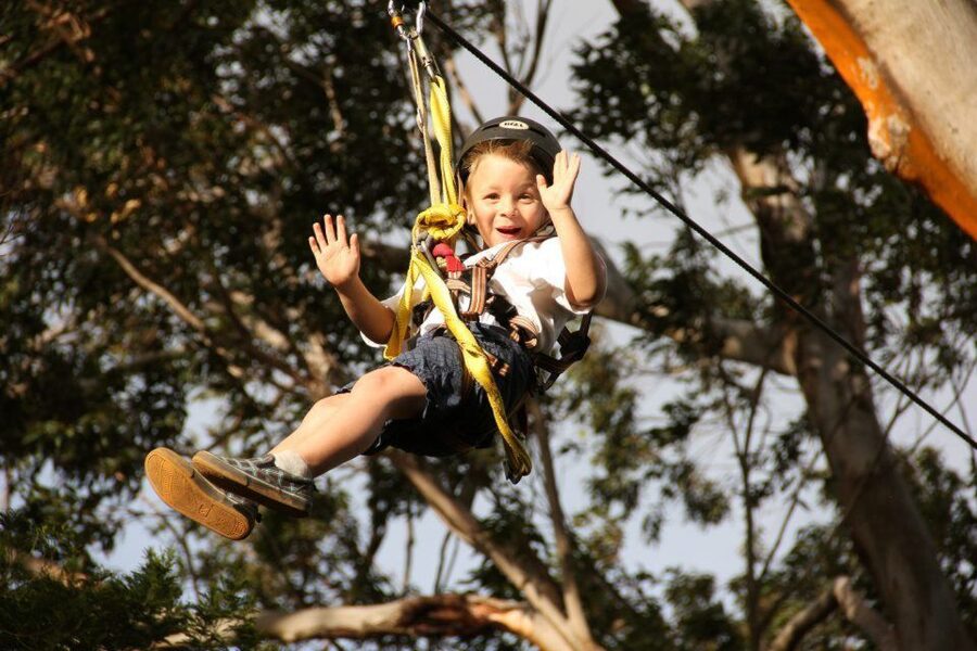 North Maui: 7 Line Zipline Adventure with Ocean Views - Grand Slam brings the speed