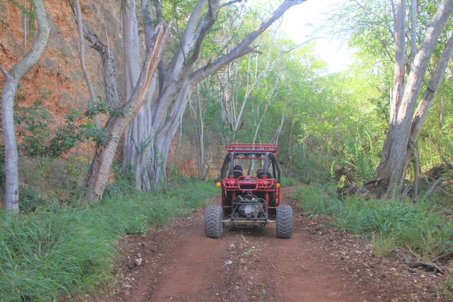 Oahu: Coral Crater Zipline and Offroad ATV Adventure - The drive from Waikiki and arrival details