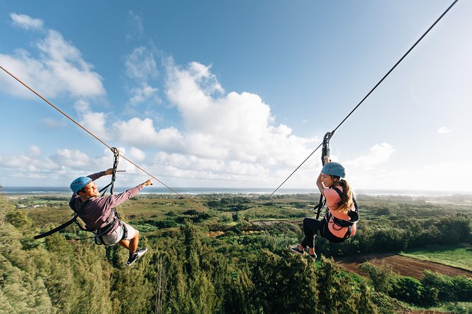 Oahu's North Shore: 8-Line Zipline Adventure - Rappels, sky bridges, and boardwalks break up the ziplines