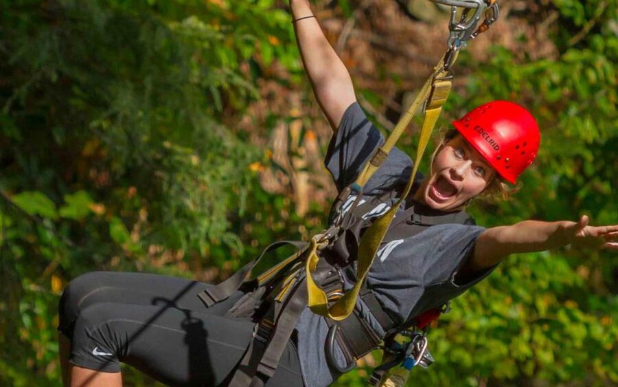 Oak Hill: Zipline Tour in New River Gorge National Park - The drop tower and forest swing