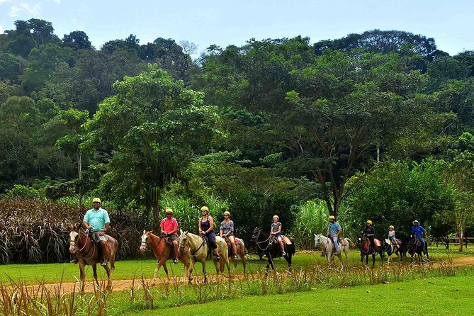 Ocean View Zip Line + Horseback Riding & Natural Pool Combo - The 15-minute tractor ride to the zip line
