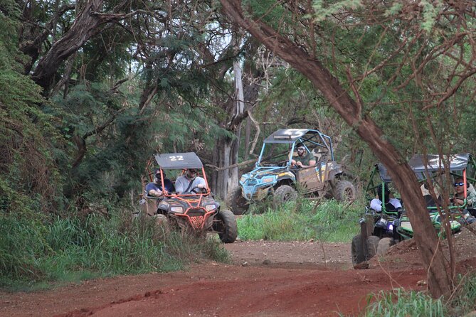 Off-Road ATV & 3 Zipline Combo (Optional Waikiki Shuttle) - Why the small group makes a difference